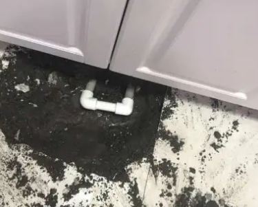 东营市查漏水哪家好