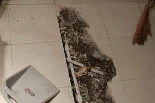 东营市卫生间漏水检测电话